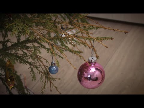 Как быстро и экологично убрать новогоднюю елку