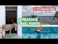 3 REASONS TO LOVE LAMU/SHELA + 10 Bonus Tips 🏝🇰🇪