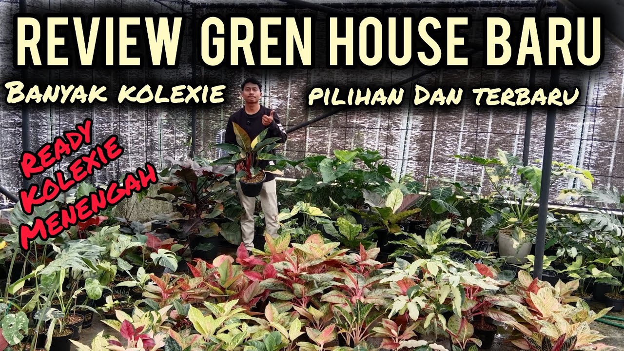REVIEW GREN HOUSE BARU‼️BANYAK KOLEXIE PILIHAN DAN TERBARU⁉️