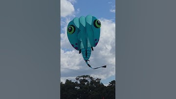 4K, Vietjet kite Festival, Redcliffe, 2025 #shorts #kites #vietjetkitefest2025