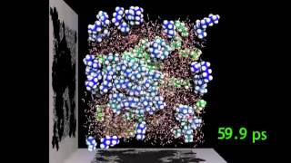 Oil and water separation by molecular dynamics simulation