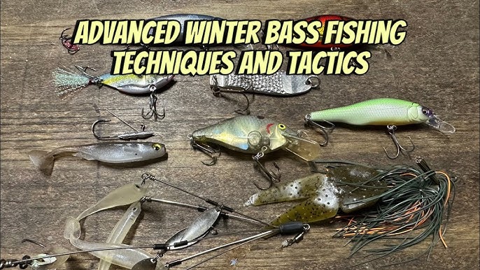 PRO BASS FISHING!!!! Let's take a DEEPER DIVE into it. 