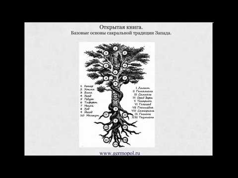 Открытая книга - 5. Структура Древа Жизни