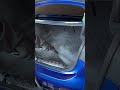BMW 4 Series Boot Clean ASMR 🔊✨