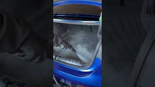 BMW 4 Series Boot Clean ASMR 🔊✨
