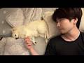 辛くて眠れなかった夜、愛犬に手を繋いでもらったら心が落ち着きました。