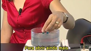 De tamanho de exclusão capilar cromatografia
