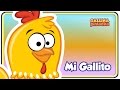 Video thumbnail of "Mi Gallito - Gallina Pintadita 2 - Oficial - Canciones infantiles para niños y bebés"