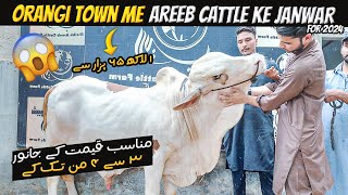 Areeb Cattle k Mid Range k Janwar ? | Munasib Cow Rates ❤️ | Cow Mandi 2024 | Cattle Express