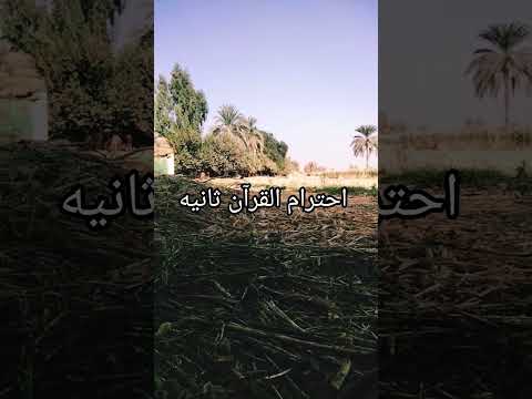 اكسبلور القزابري دويتو اهميه ماهر المعيقلي لايك اعتني تيك توك المراه احترام القرآن