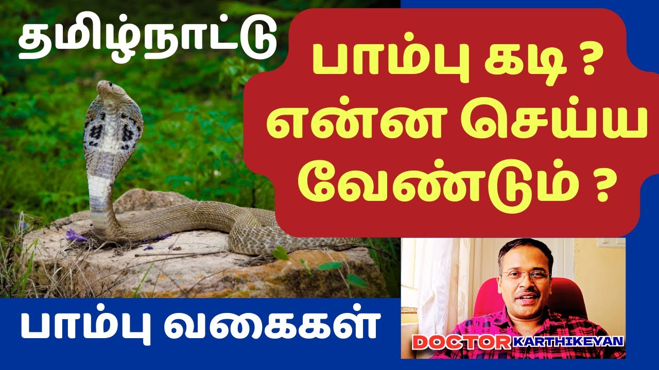 பாம்பு கடித்தால் என்ன செய்வது அறிகுறிகள் | snake bite treatment first aid