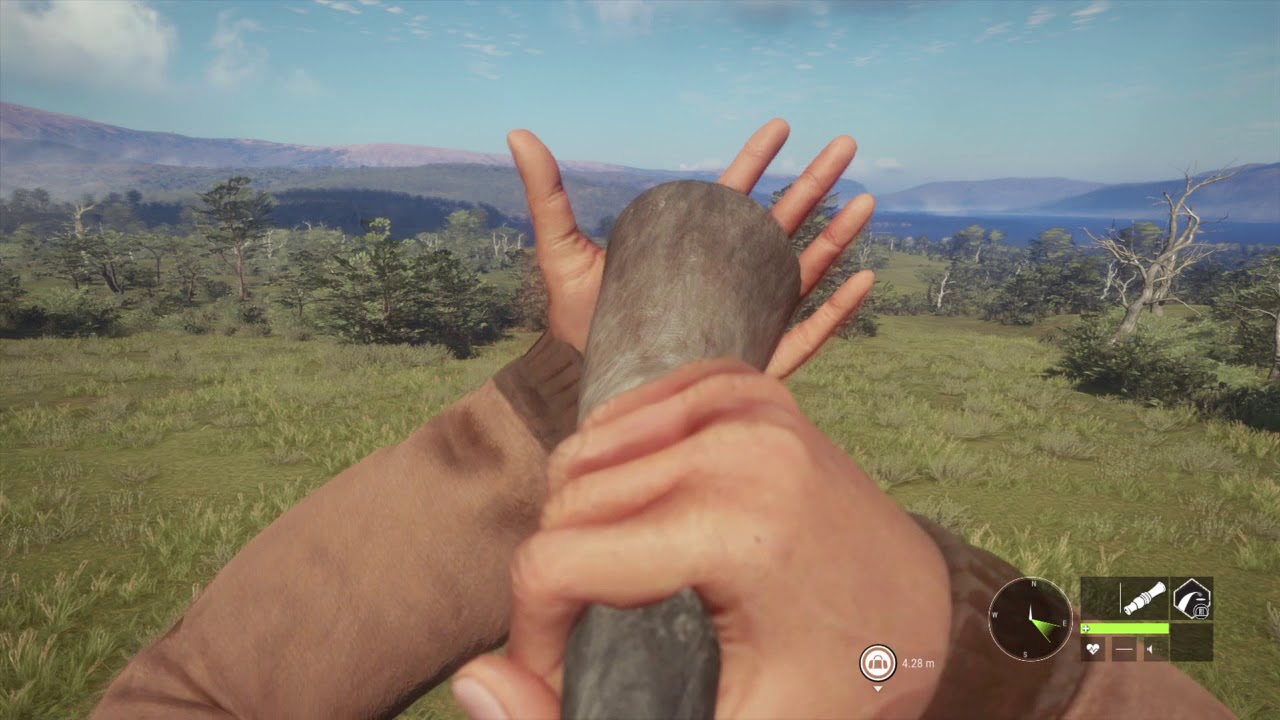 COTW Diamond Red Deer YouTube