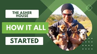 🐶   THE ASHER HOUSE STORY - How it all started