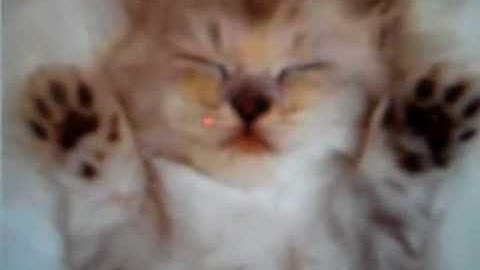 Unit Rate Video Lesson