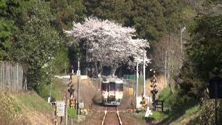 特急「南紀キハ85系」紀勢本線 栃原～川添