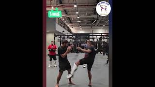 🤬🥊GREAT COMBO😎 #usa #usashorts #combat #combatsports #knockout #fight #shorts #viral #mma #muaythai