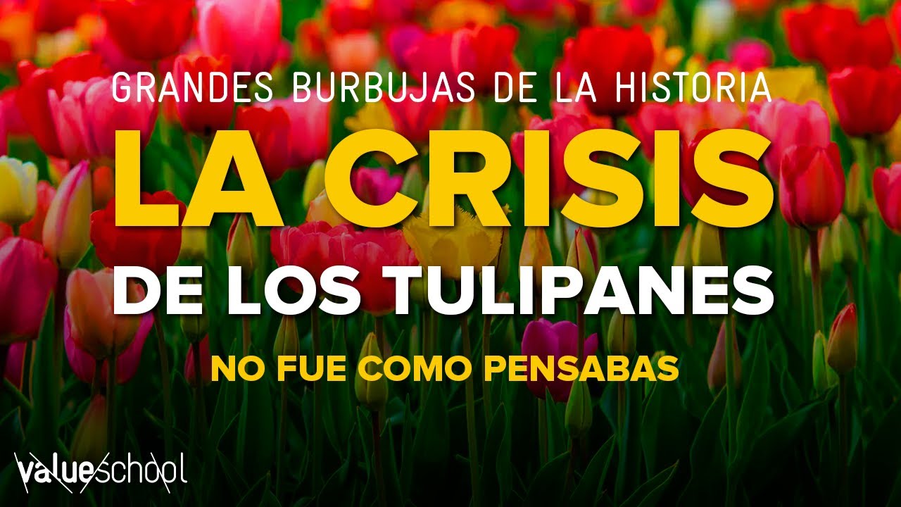 🌷 La Crisis De Los Tulipanes Value School Youtube