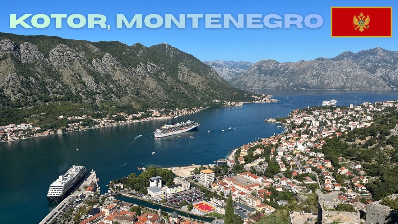 Kotor in a Day – Montenegro’s Hidden Adriatic Gem 🇲🇪 | MSC Sinfonia : Mediterranean Cruise