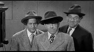 Three Stooges Trivia Part One