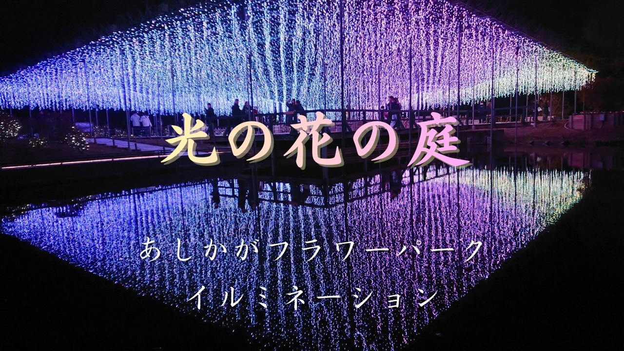 あしかがフラワーパーク イルミネーション 光の花の庭