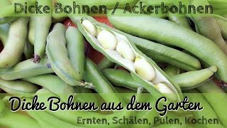 Rezept: Grüne Bohnen mit Olivenöl | AhmetKocht | türkisch kochen | Folge 103