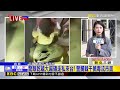 最新》龍眼乾藏大麻磚走私來台！ 警攔截千萬毒流市面@newsebc