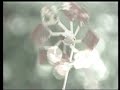 あかり川 川崎修二 カバー王瑞德