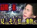 【2025年大予言】宜保愛子が見た日本崩壊の未来がヤバい！その衝撃の光景とは！？【都市伝説 ミステリー】