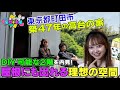 【AKB48vs高台の家】妄想広がる屋根の上で…激白…【DIYで激変】
