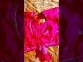 blouse ke new design