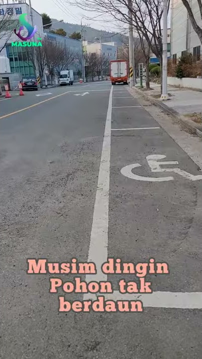 musim semi korea selatan