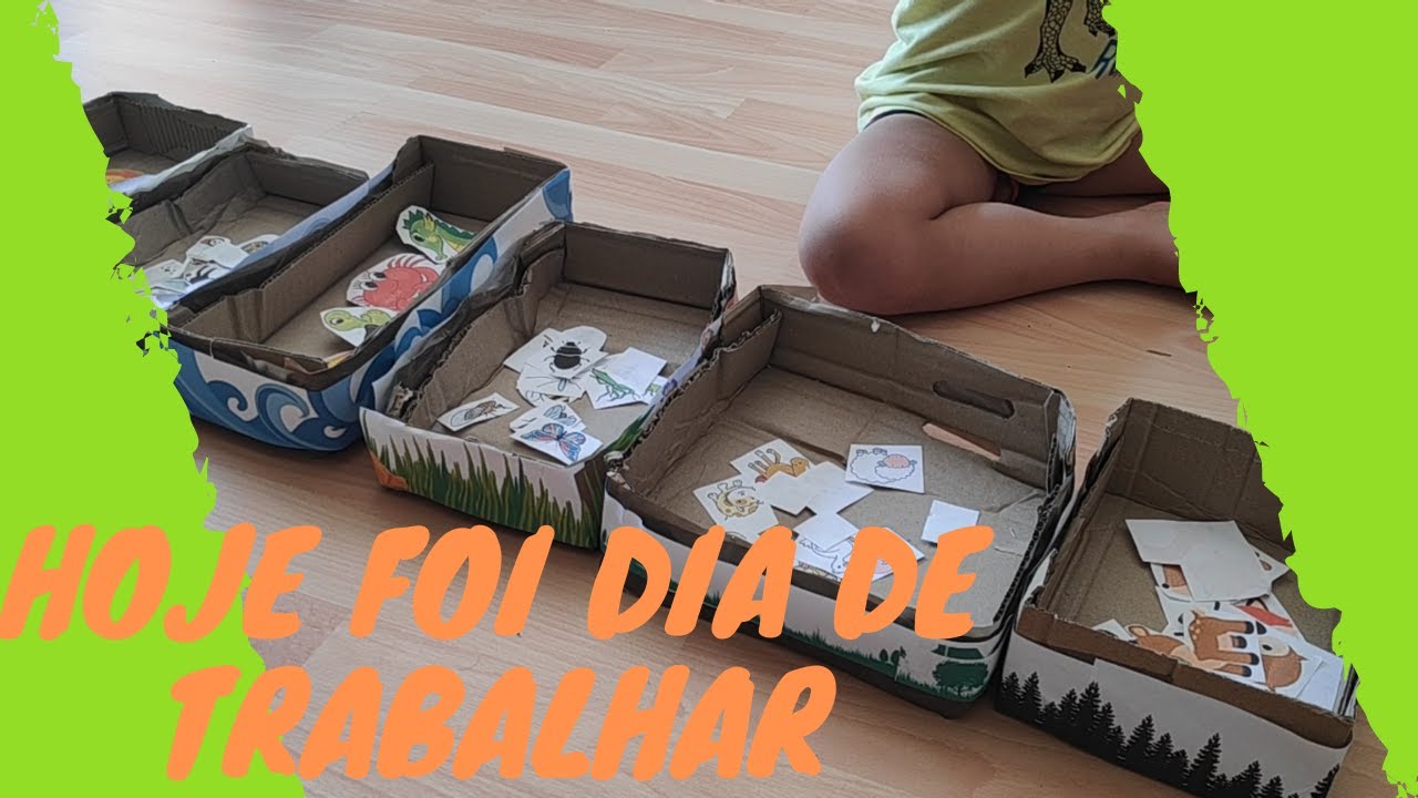 Categorização - Noções e Distinções