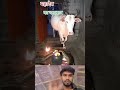Har har Mahadev ji 🙏 #shortvideo #trending