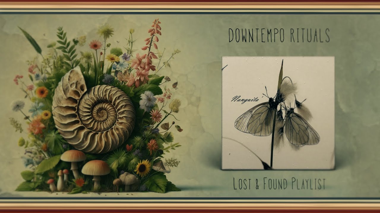 Funkenschleuder - Nanguita's Lyrical Splash (featuring Nidia Gongora & Another Channel)