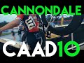 2015 cannondale caad10 track  sullivan van way track racer