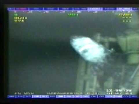 Giant Shark Gulf of Mexico Oil Rig caught on rigs cameras - YouTube