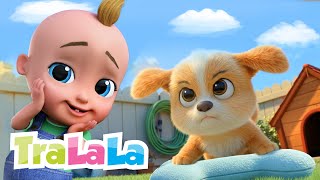 Azi Grivei E Mânios Ham - Ham Cântece Cu Animale - Tralala Desene Animate