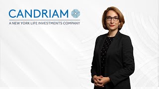What does SFDR mean for the insurance industry