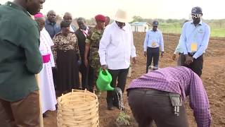 Museveni's tactics to transform Uganda through Commercial Agriculture and Industrialization