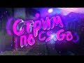 🔴CS:GO. От сильвера до глобала за год + Вебка