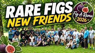 Rare Figs, New Friends & a Fig Tree Free-for-All! | Fig-A-Rama 2026