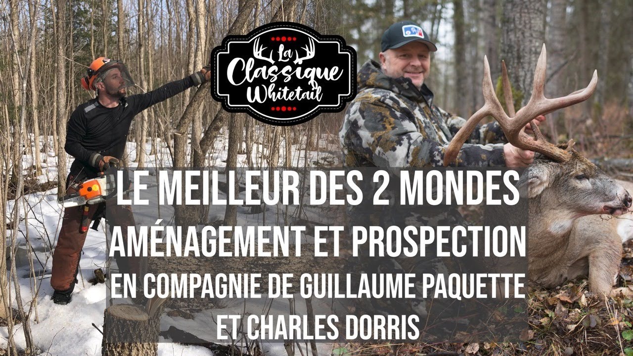 Live 23 Classique Whitetail "Le meilleur des 2 mondes" YouTube