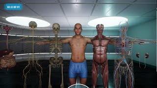 3D visualization of medical Human anatomy for Unreal Engine 4.27
