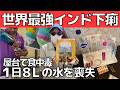 【インド下痢】屋台飯でお腹を壊し救急病院送り!【ヤバい脱水症と感染症治療】熱中症+発熱+頭痛+嘔吐+目眩
