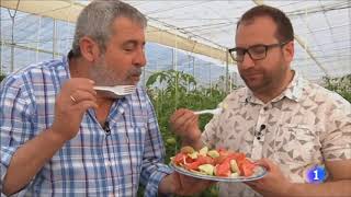 Cata de Tomates de Las Virtudes en Aquí la Tierra de la 1