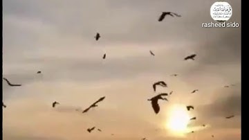 حالات واتس اب آيات يوم الجمعه بصوت الشيخ عبدالباسط عبدالصمد