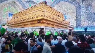 ضريح الامام علي عليه السلام . للمونتاج بدون حقوق