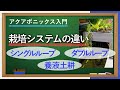 欠点を克服！アクアポニックスの課題を解決した栽培システム
