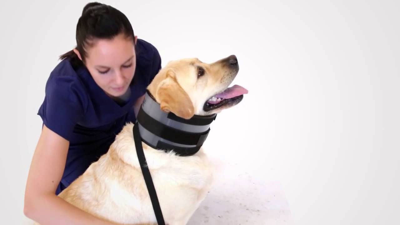 Bite Free Cervical Collar KVP International YouTube