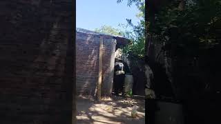 Big Mr Cameltoe And Ties Training Hard